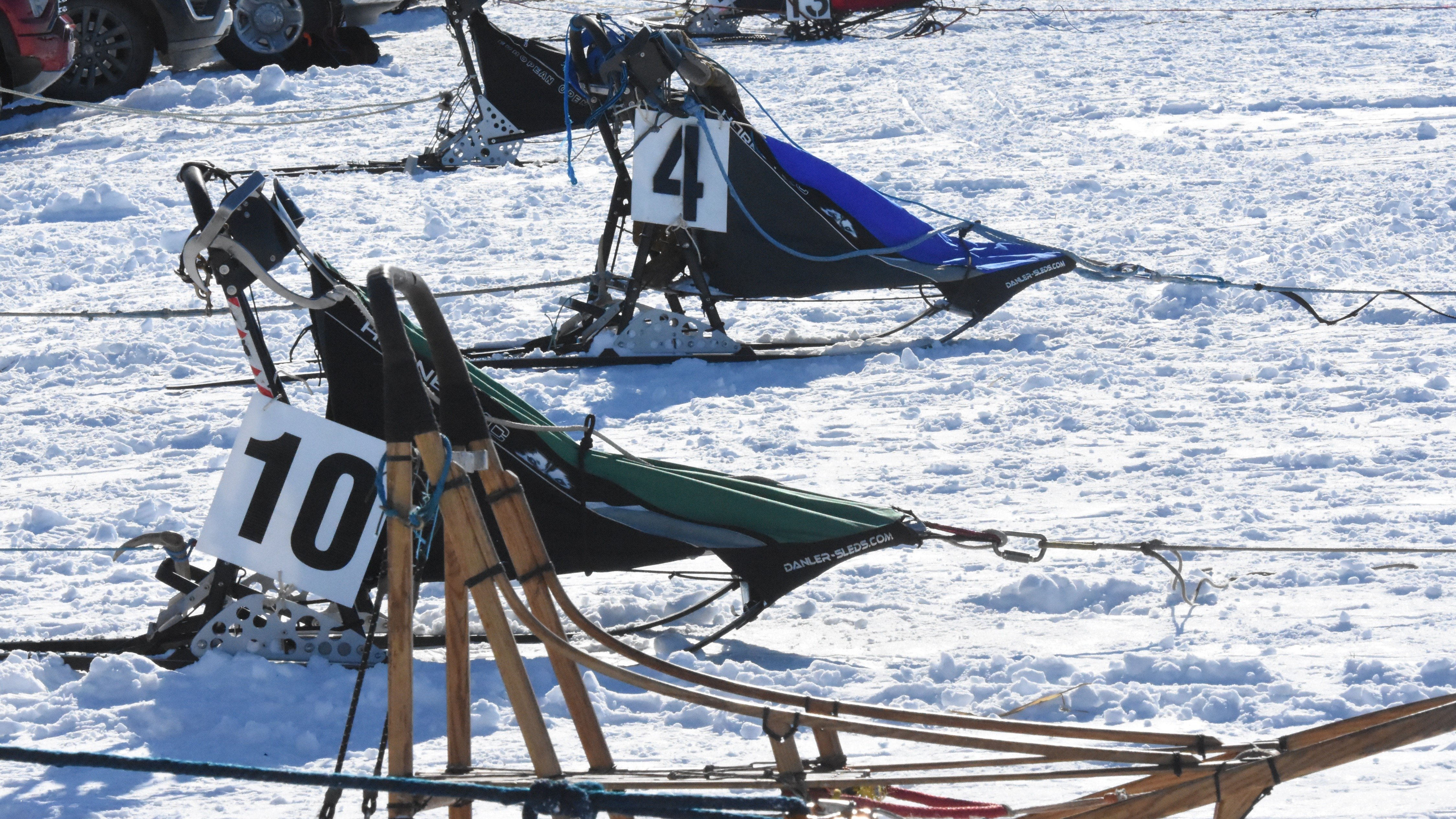 Mushers get their sleds ready to race during the Prince Albert Winter Festival on Feb. 21, 2026.