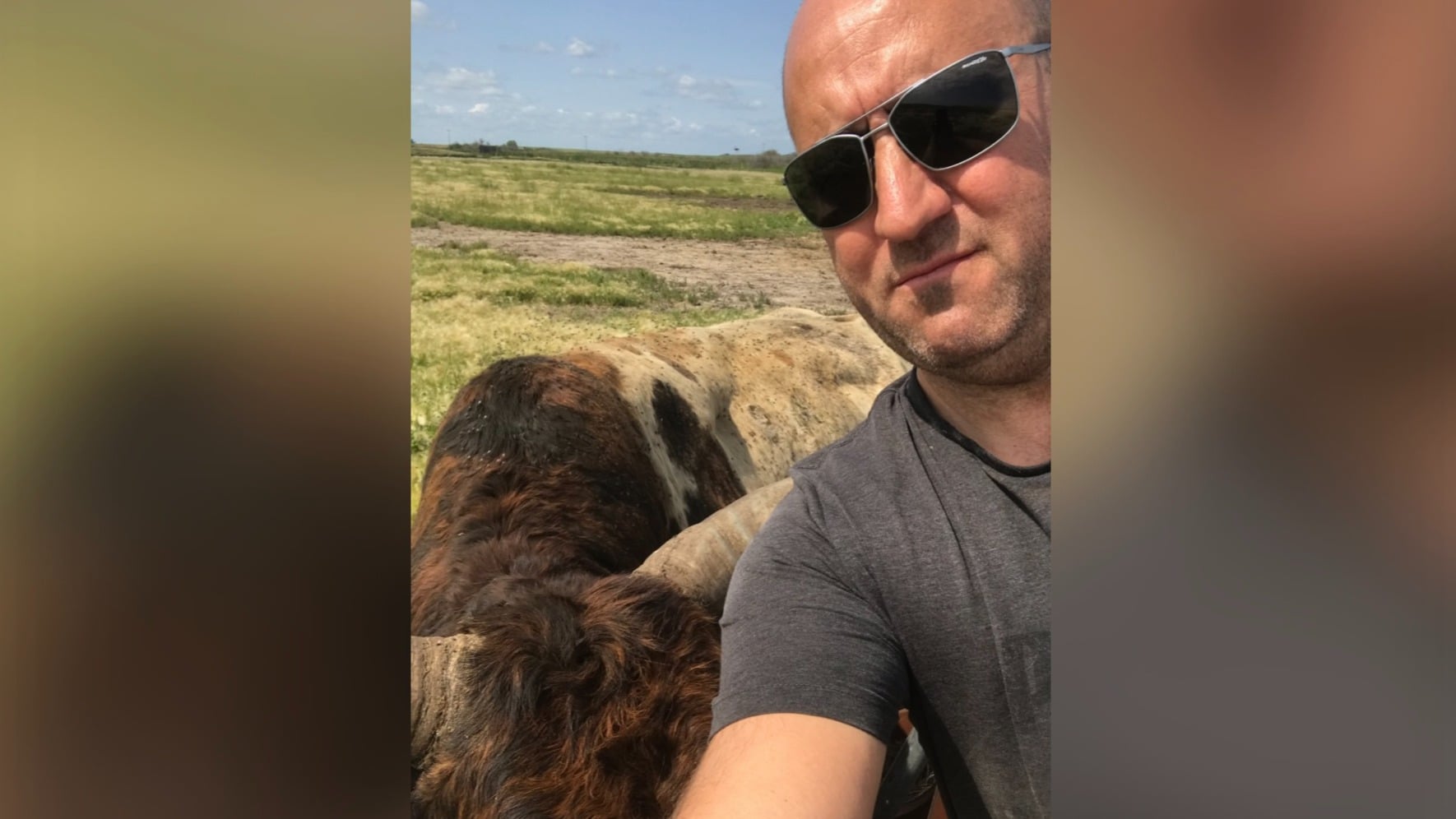 Corey Chmelnyk and one of his bulls.