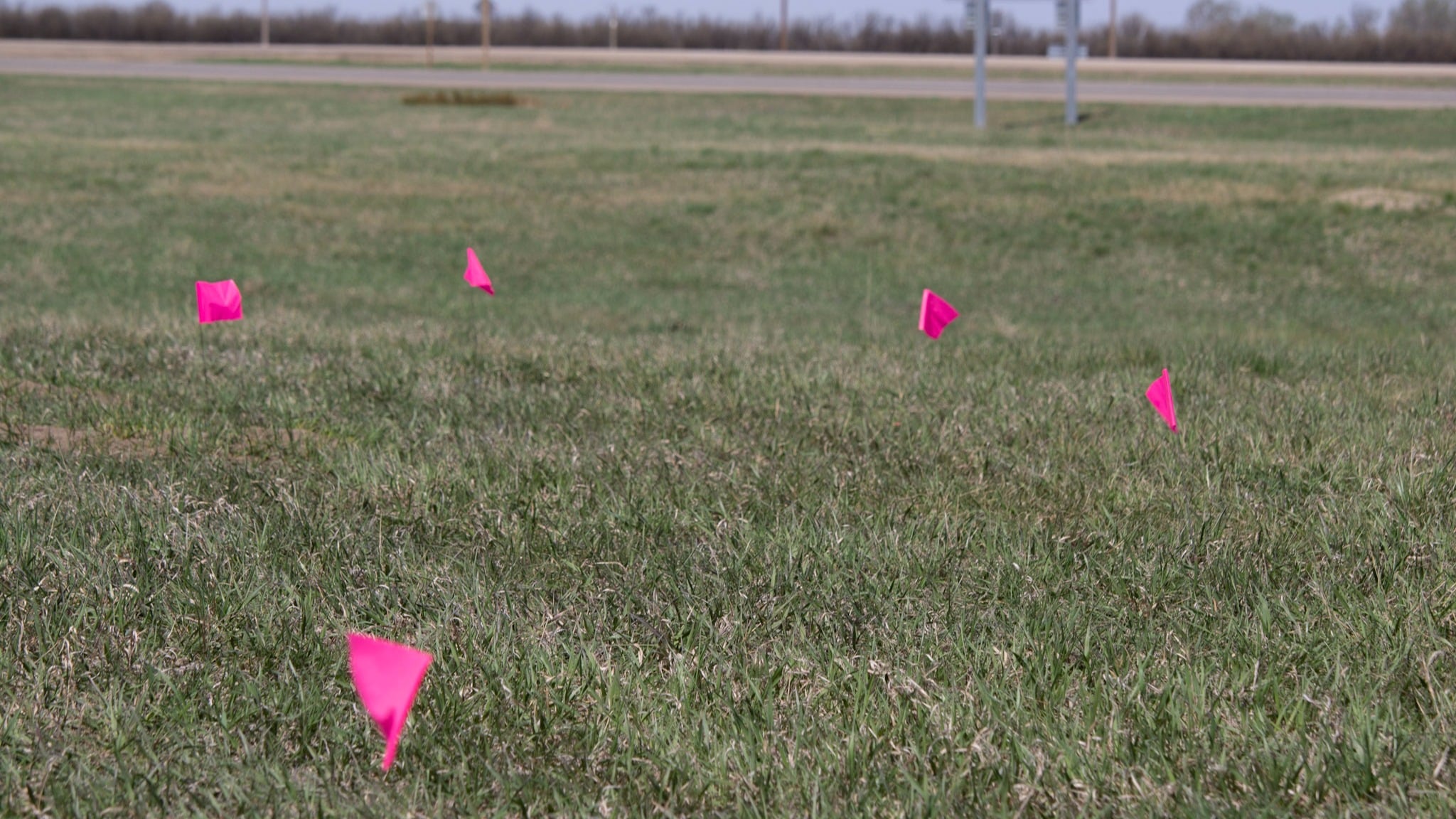 Flags on the former school grounds mark where an anomaly was previously reported.