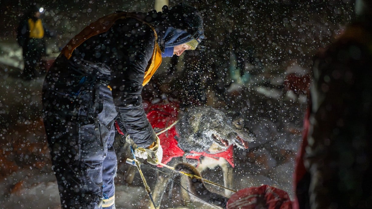 Dog sled teams were forced to spend the night in Weyakwin.