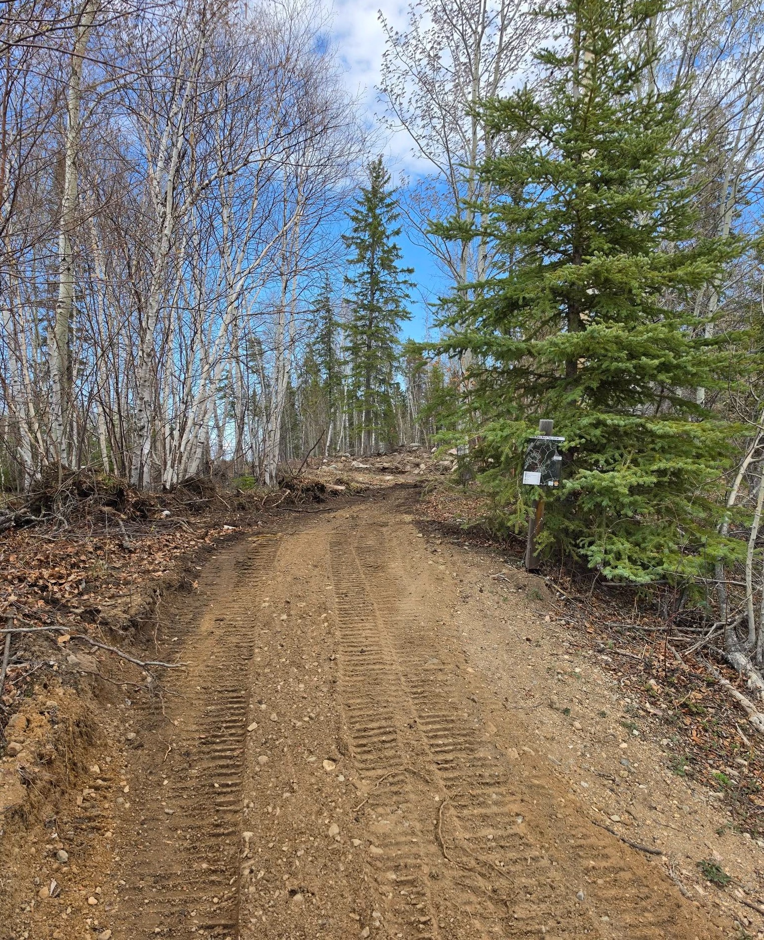 Work is being done to level areas affected by heavy equipment.