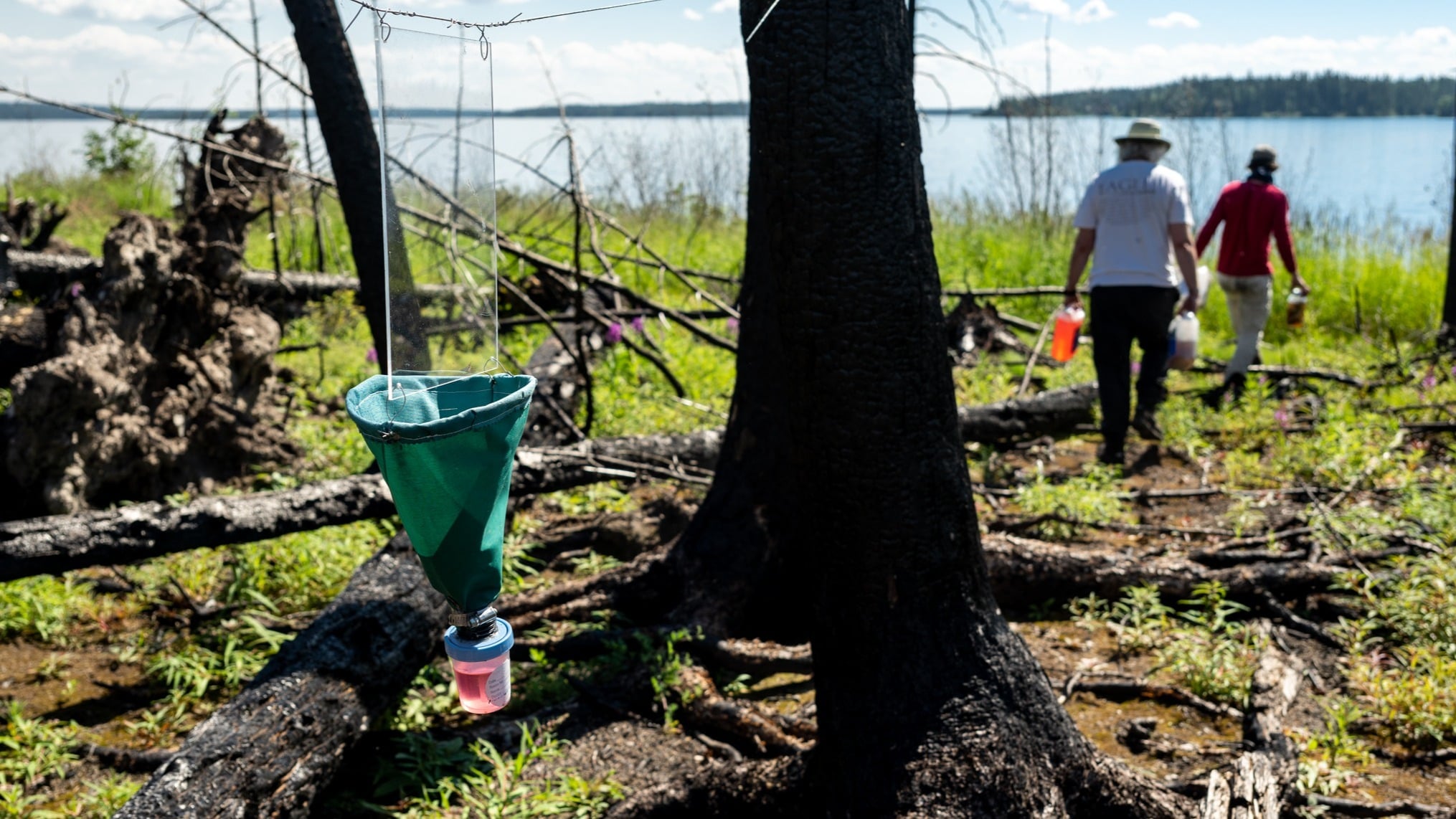 Two popular concepts that are at the forefront of how governments design protected areas were poorly supported by the data.