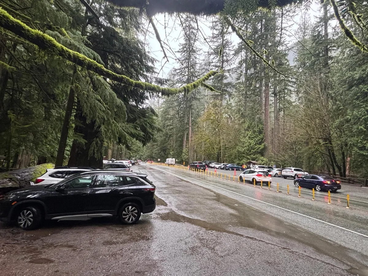 Limited parking in close proximity to Hwy. 4 has long been a safety hazard at Cathedral Grove.