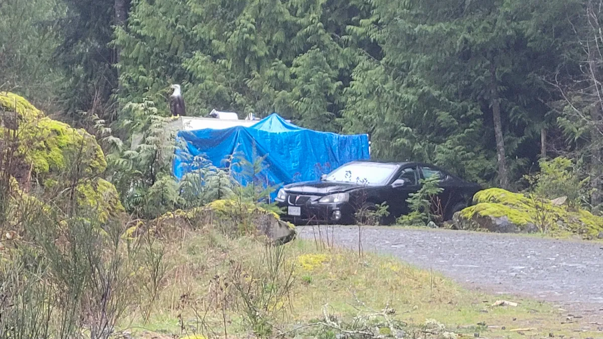 Well-established campsites could be seen right off the Banon Creek Forest Service Rd.